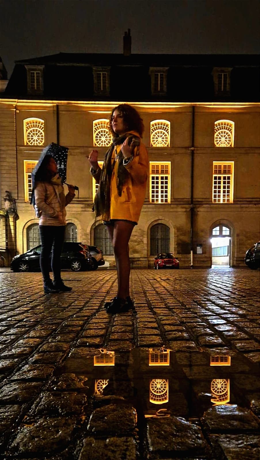 Dijon By Night